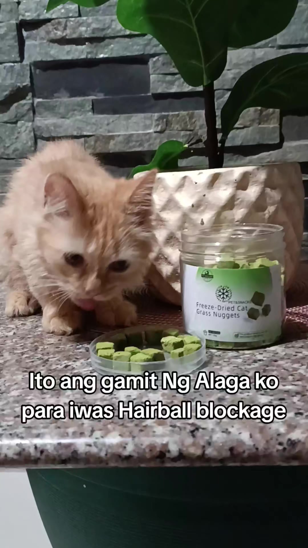 @Teacher Yara Park