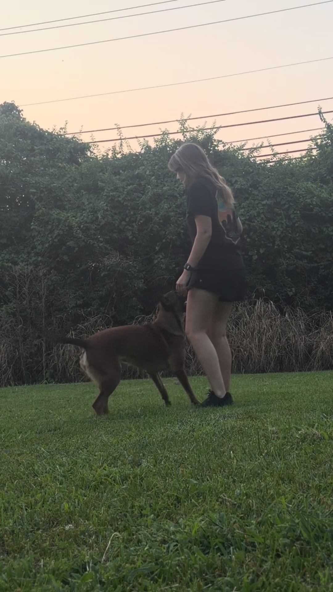 @driven.k9s