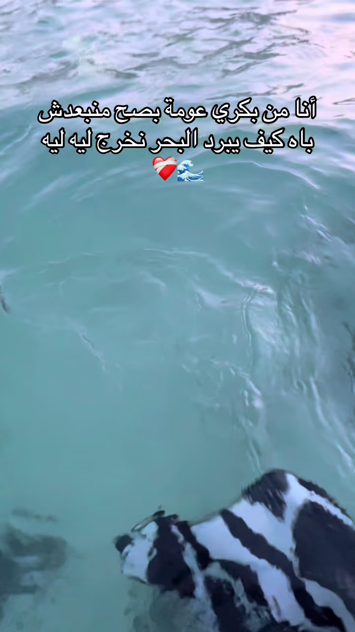 @نور🫀