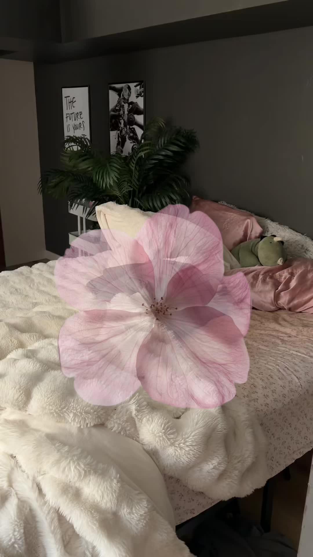 @avakaterinax