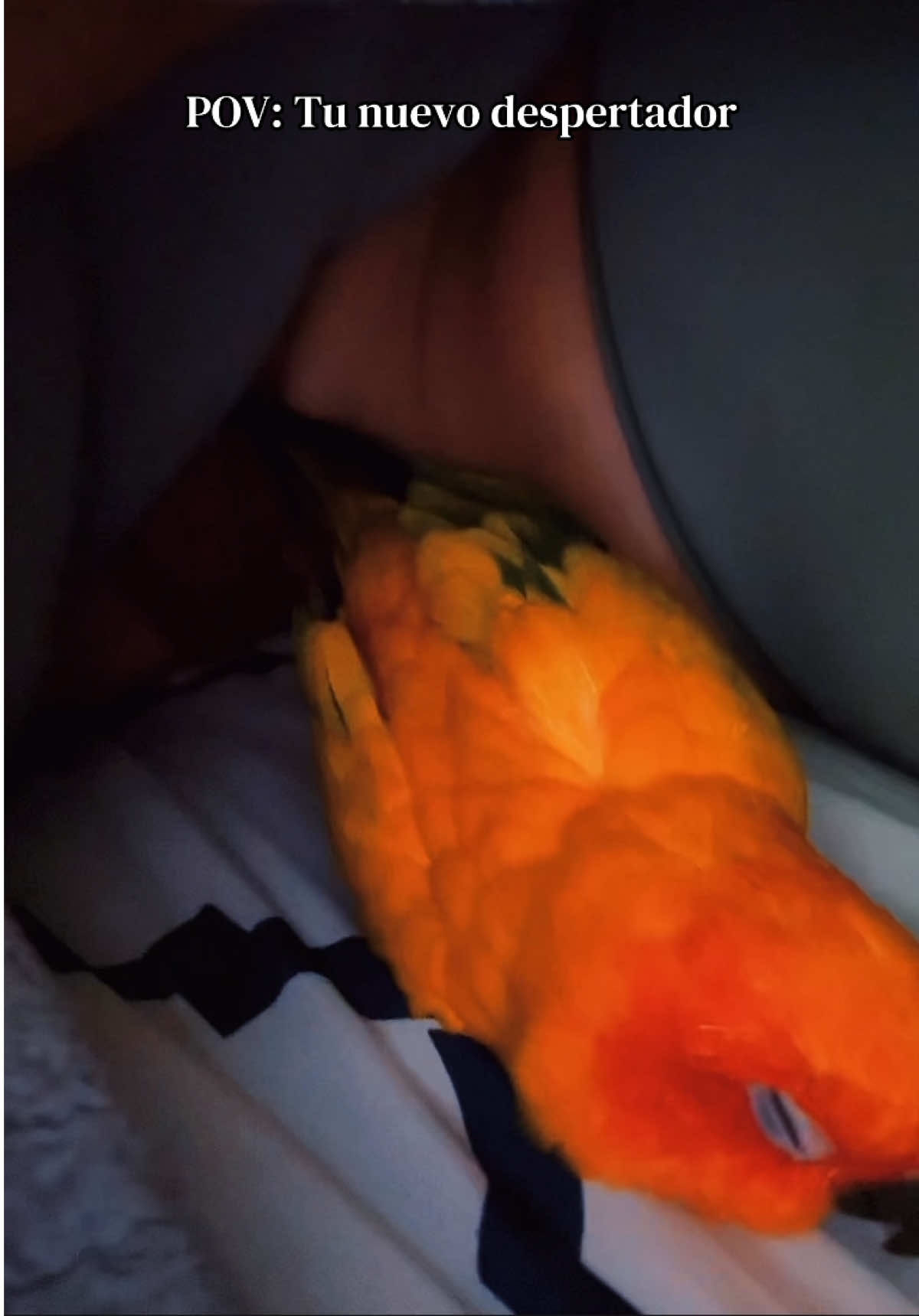 @Suncheepo🦜