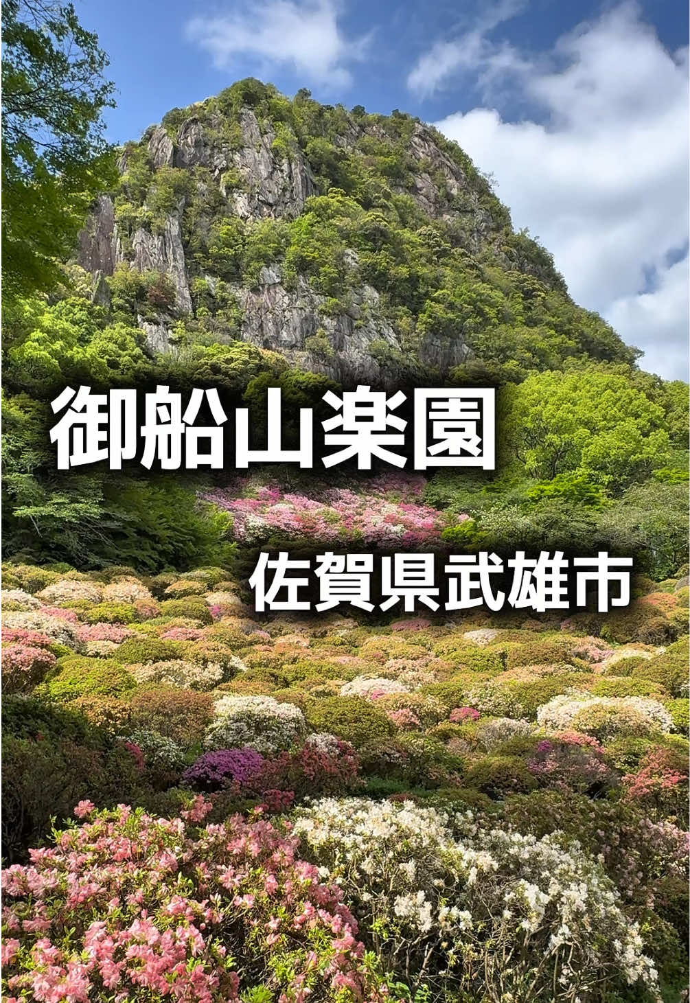 @ベルビート(哲也)👼🏻🩵