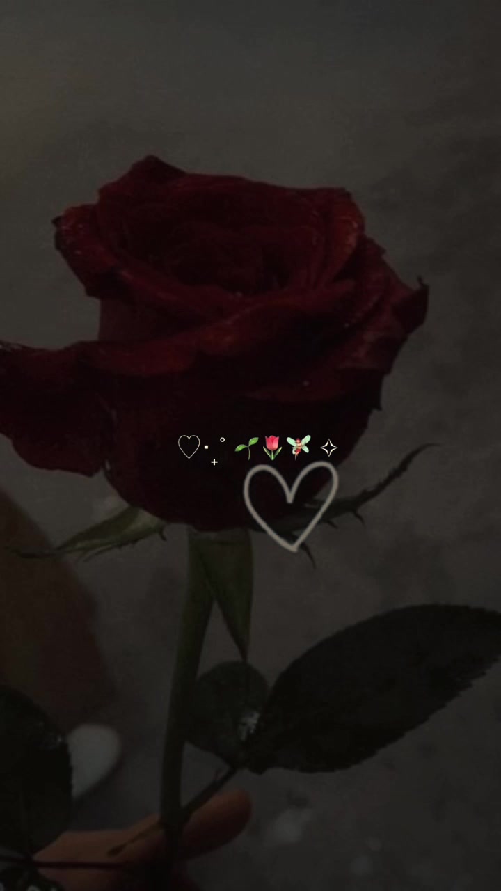 @C 🫅A🧕💞