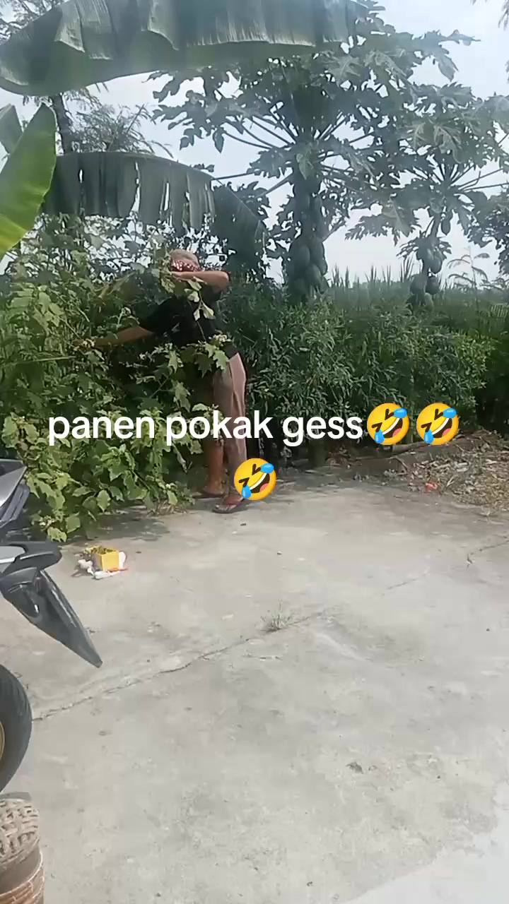 @aniva