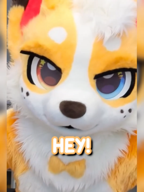 @Corgi