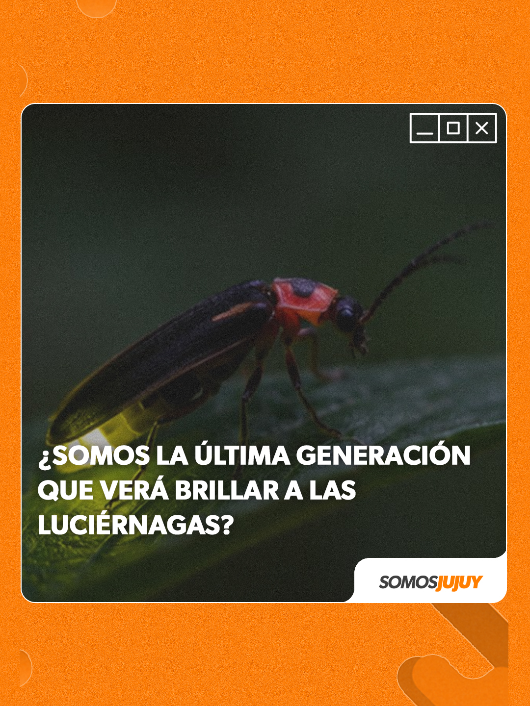 @Somos Jujuy