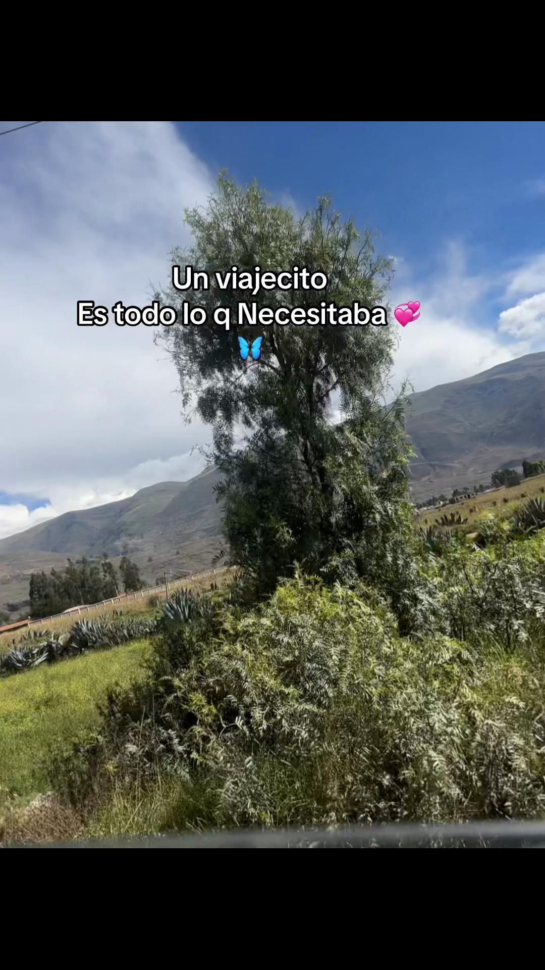 @🎀