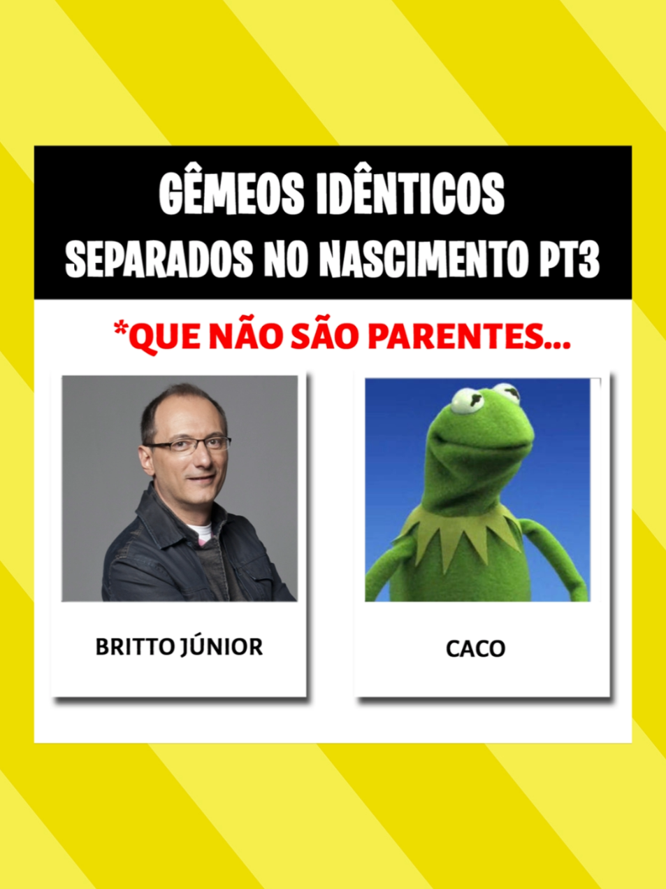 @Zé Zuero