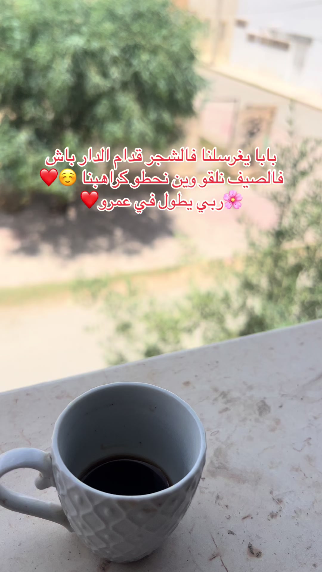 @🌸houda zaydi🌸