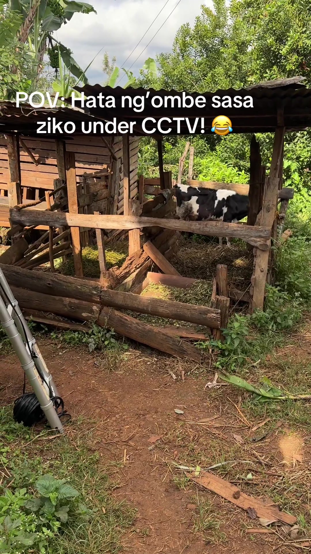 @KeviciTech// +254 726819181