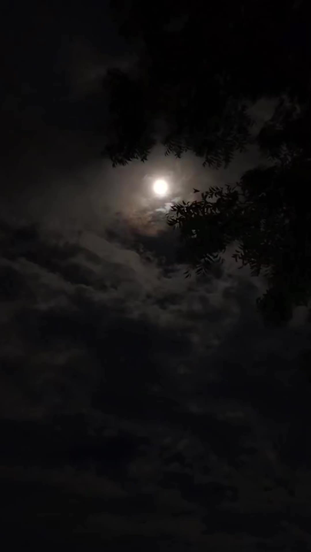 @16:06💙😎