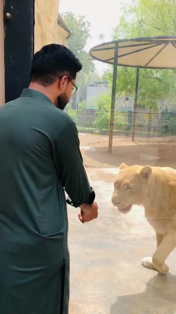 @پکھڑال_001💞