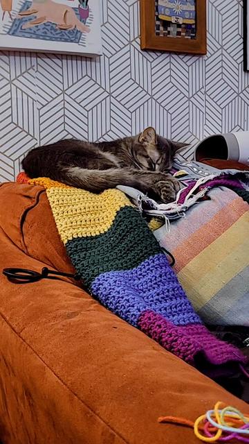 @PattiWithTheHooks 🧶