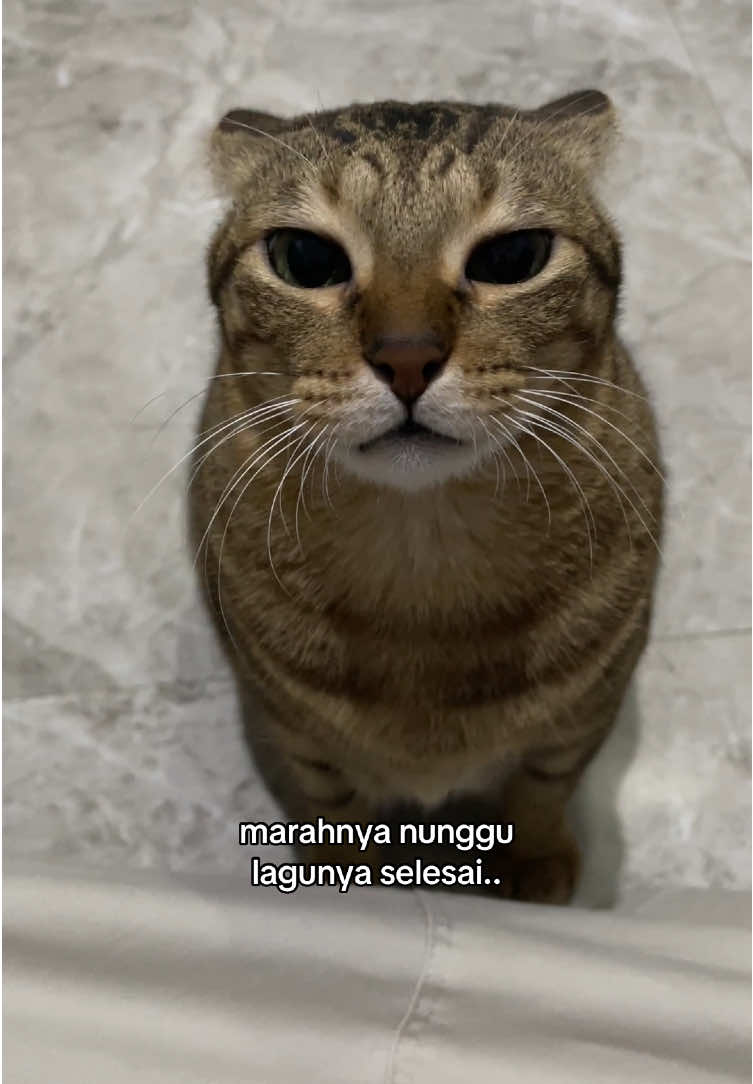 @aren gentong