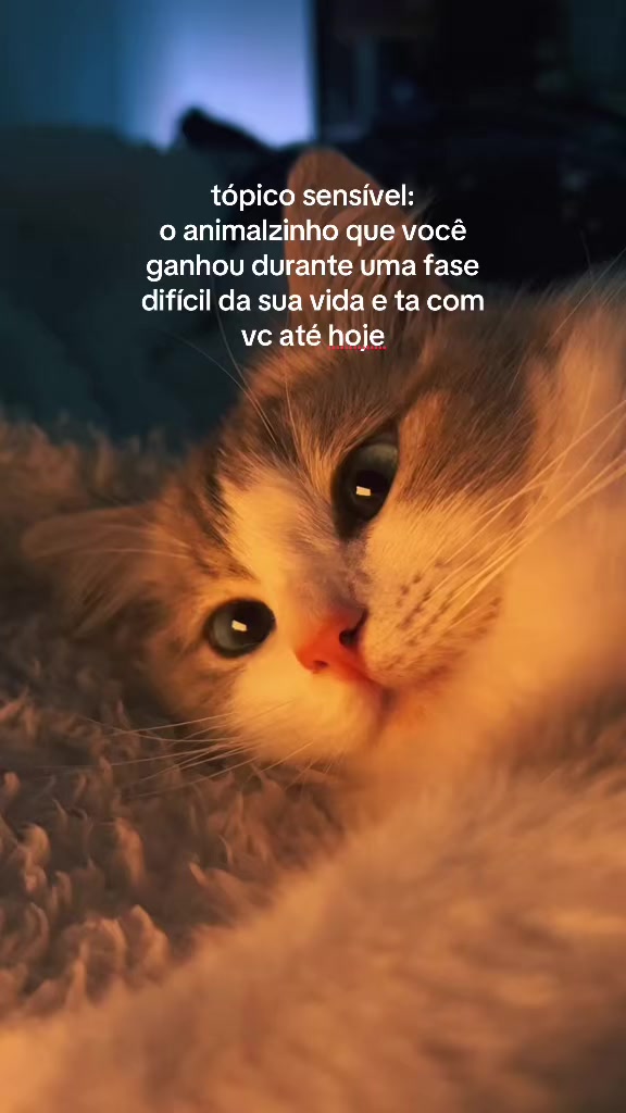 @divoniicass