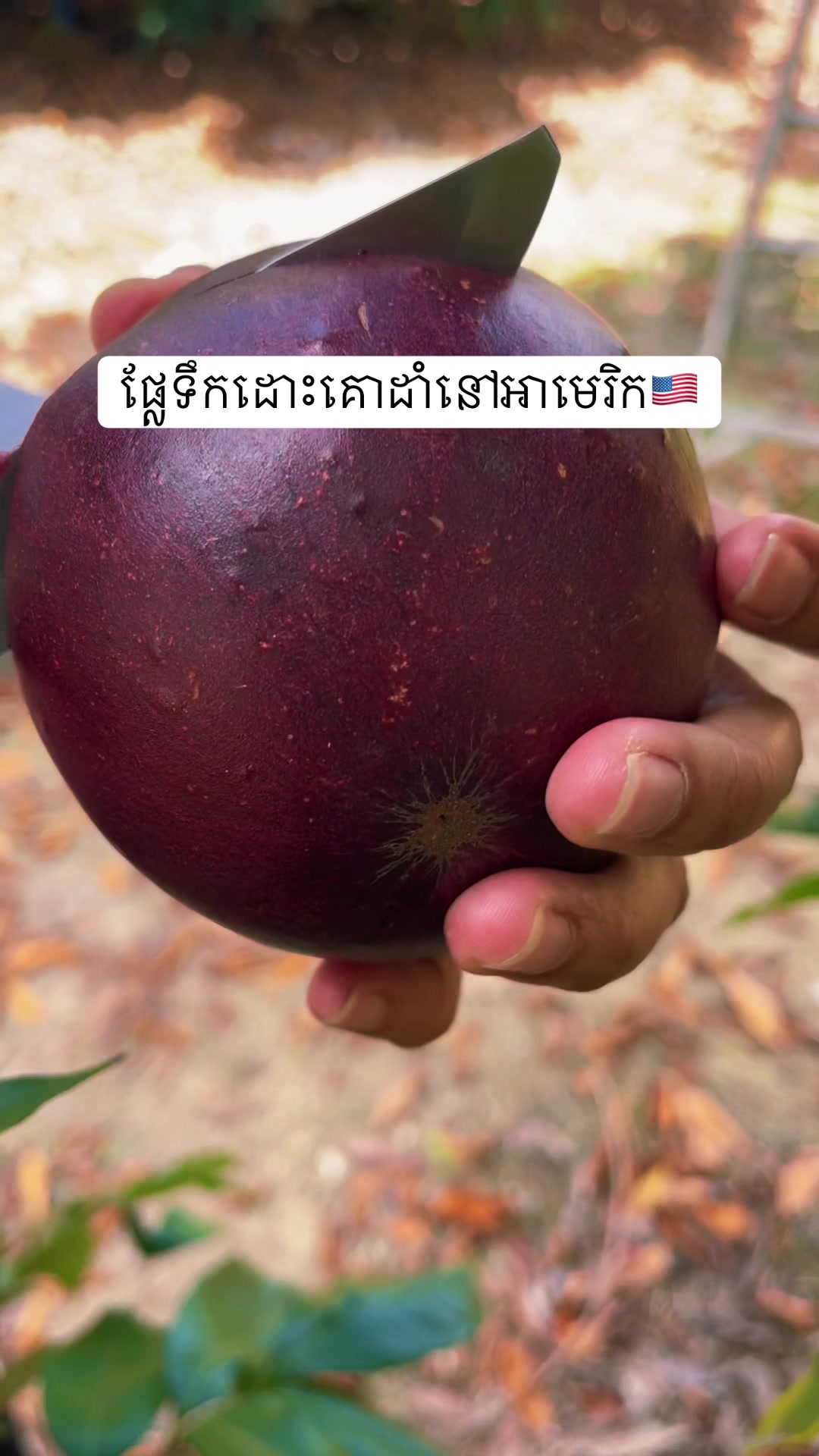 @N๐ฅ๐ฐ๐ญ๐บ๐ธ