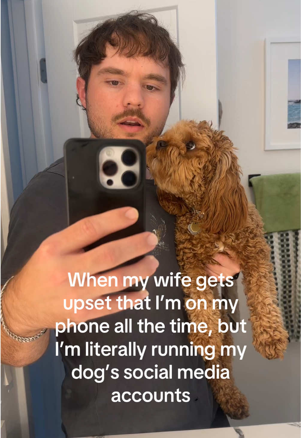 @Leo the Cavapoo