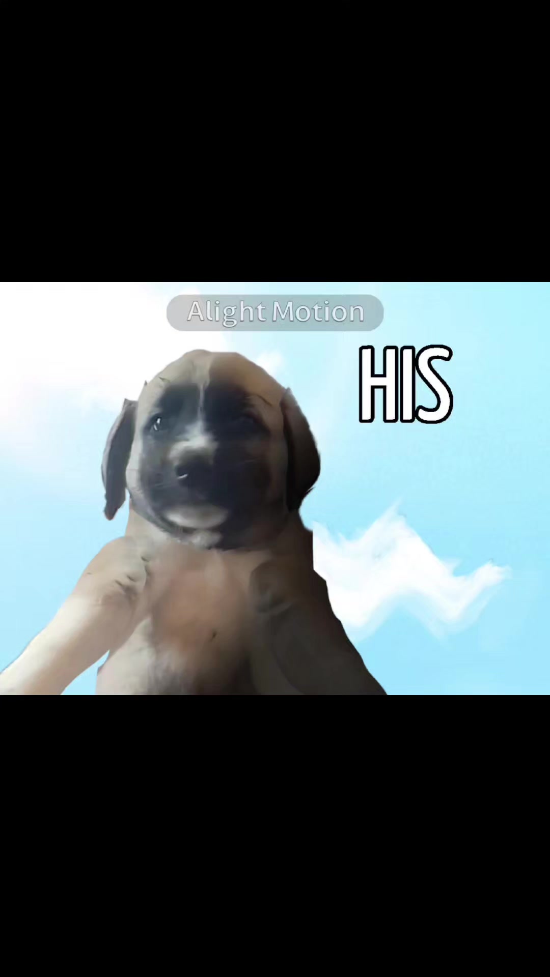 @Fındık🐶🐾