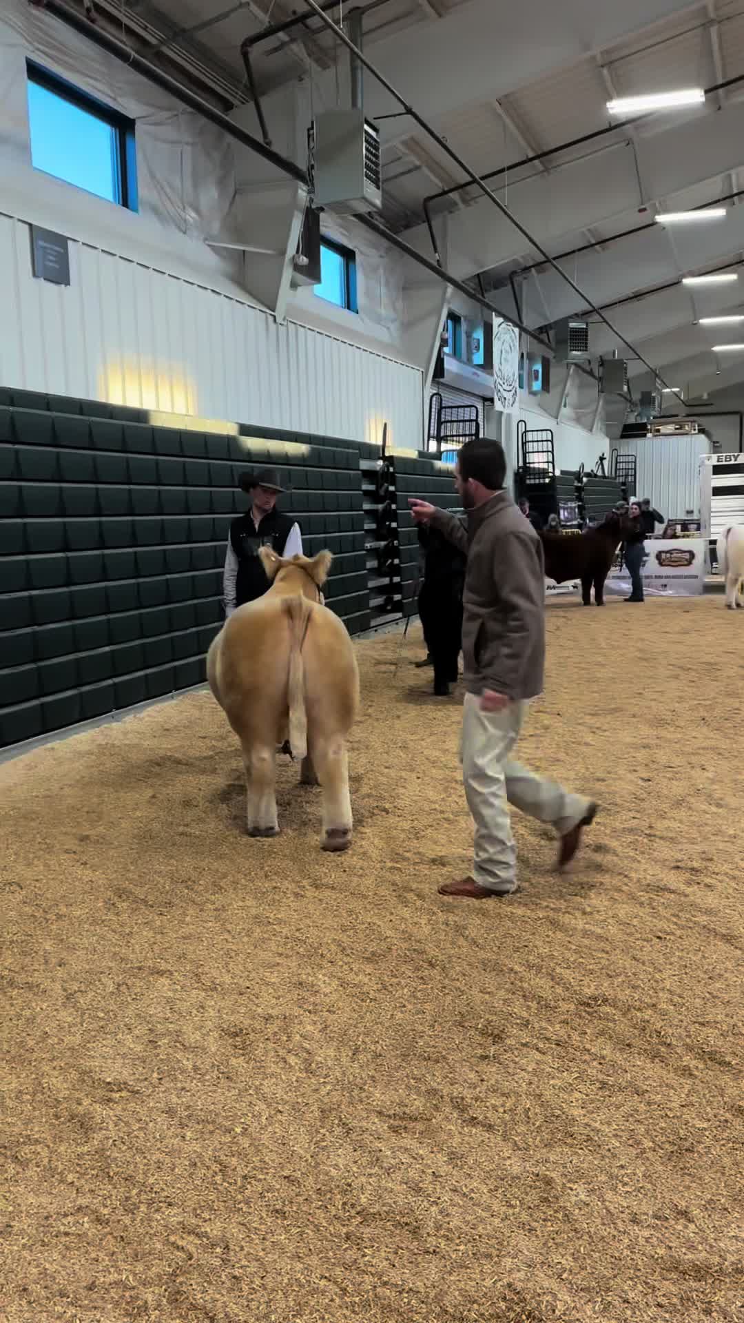@Craft Livestock 2.0