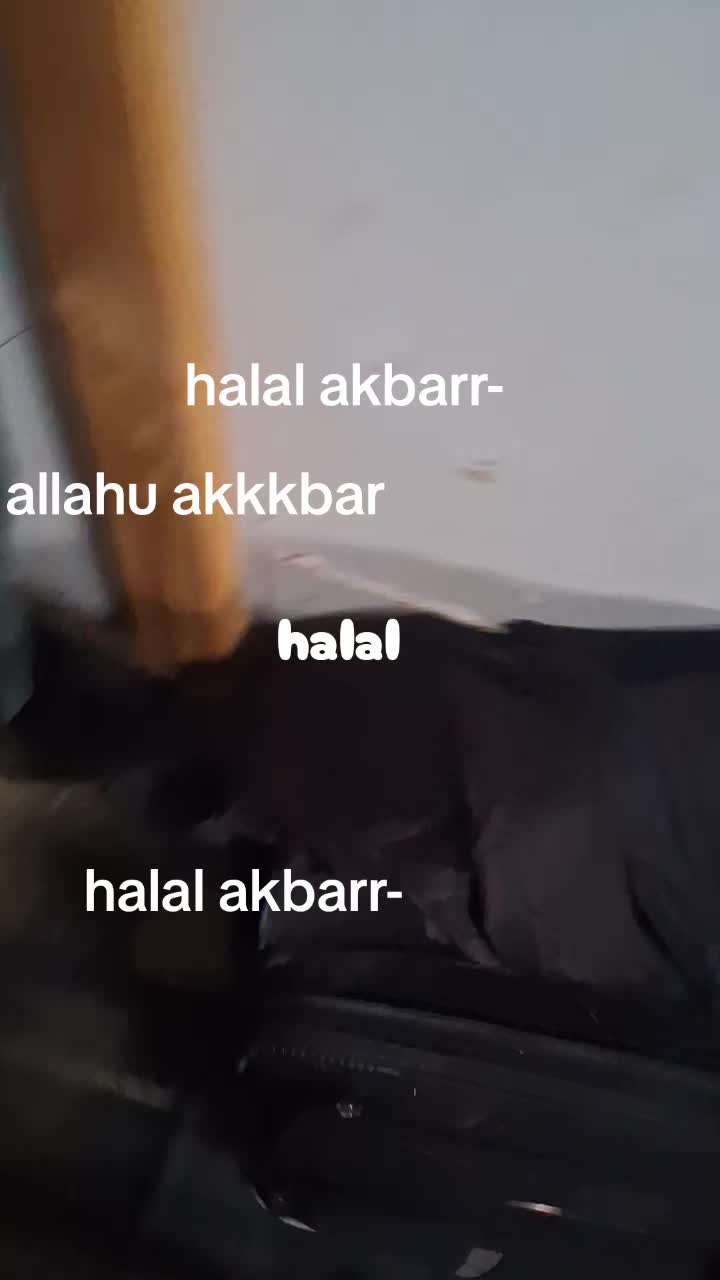 @Bhadapple