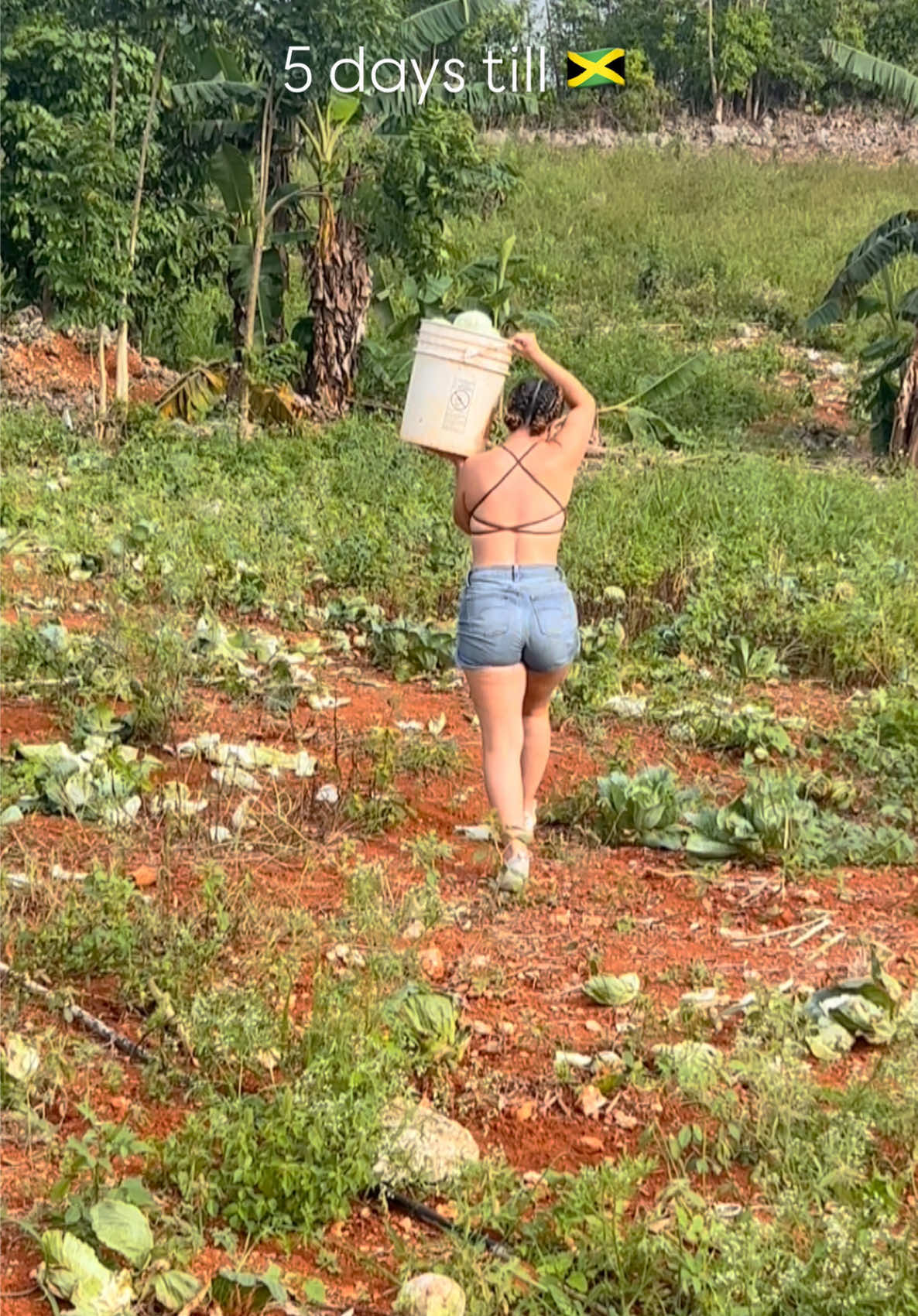 @Italia Molina