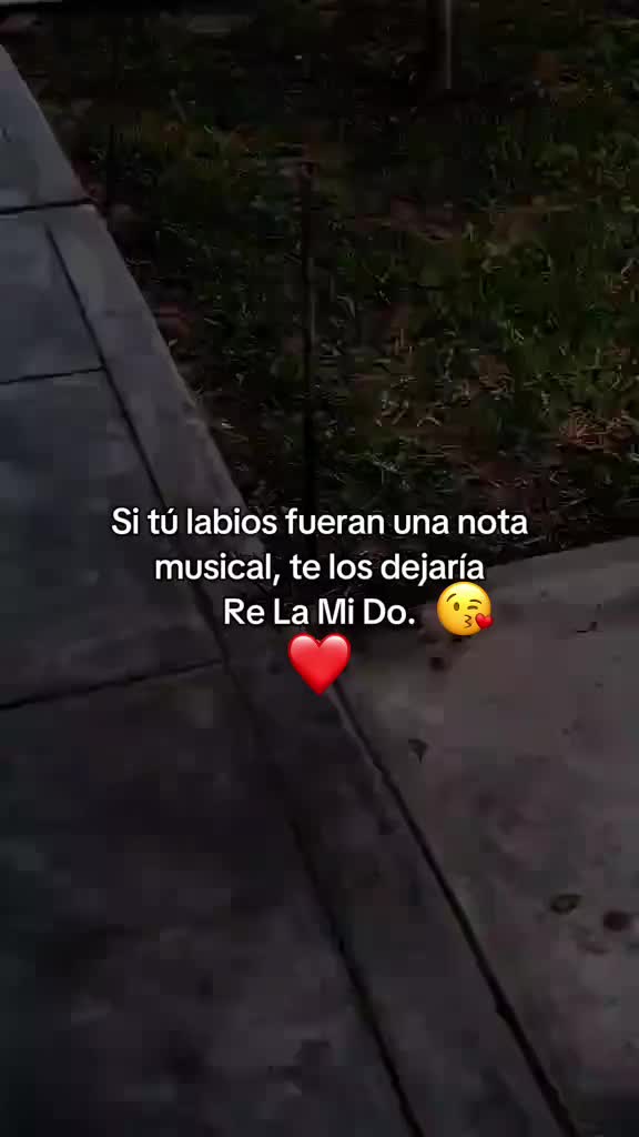 @chemoensusalsa