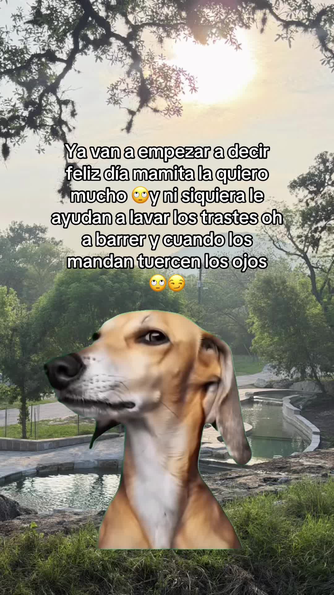 @El Trevol