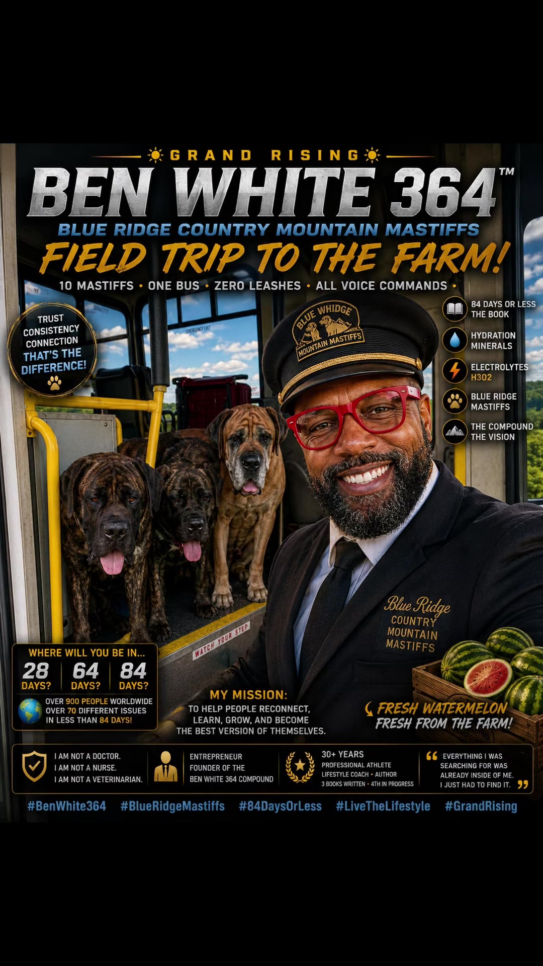 @Blue Ridge Mountain Mastiff’s