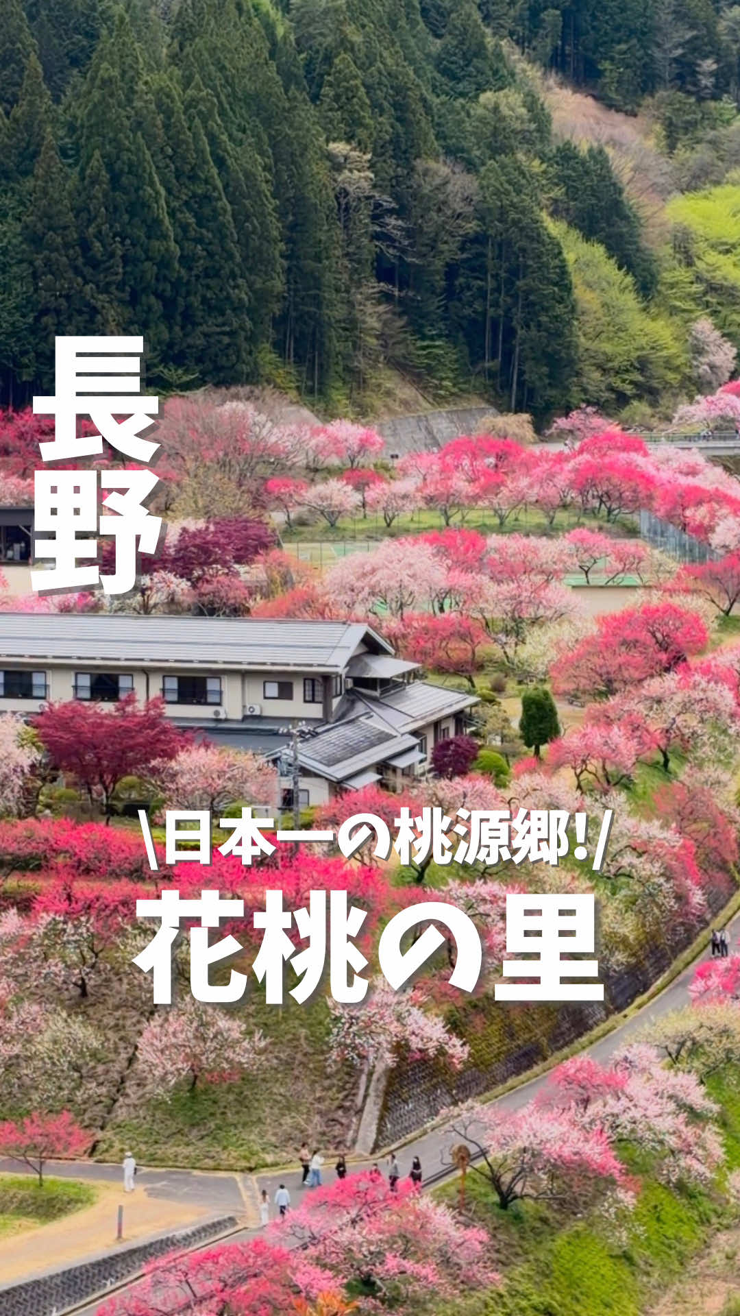 @まつ夫婦 | 名古屋発!夫婦デート&癒し旅