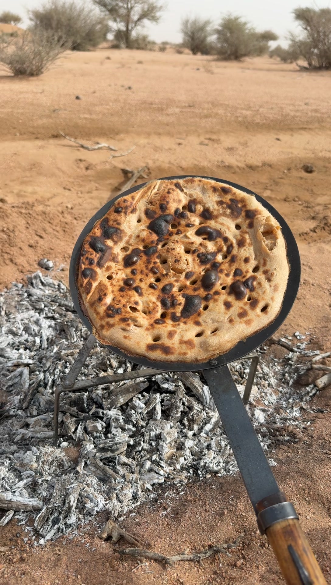 @ابوغيث 511