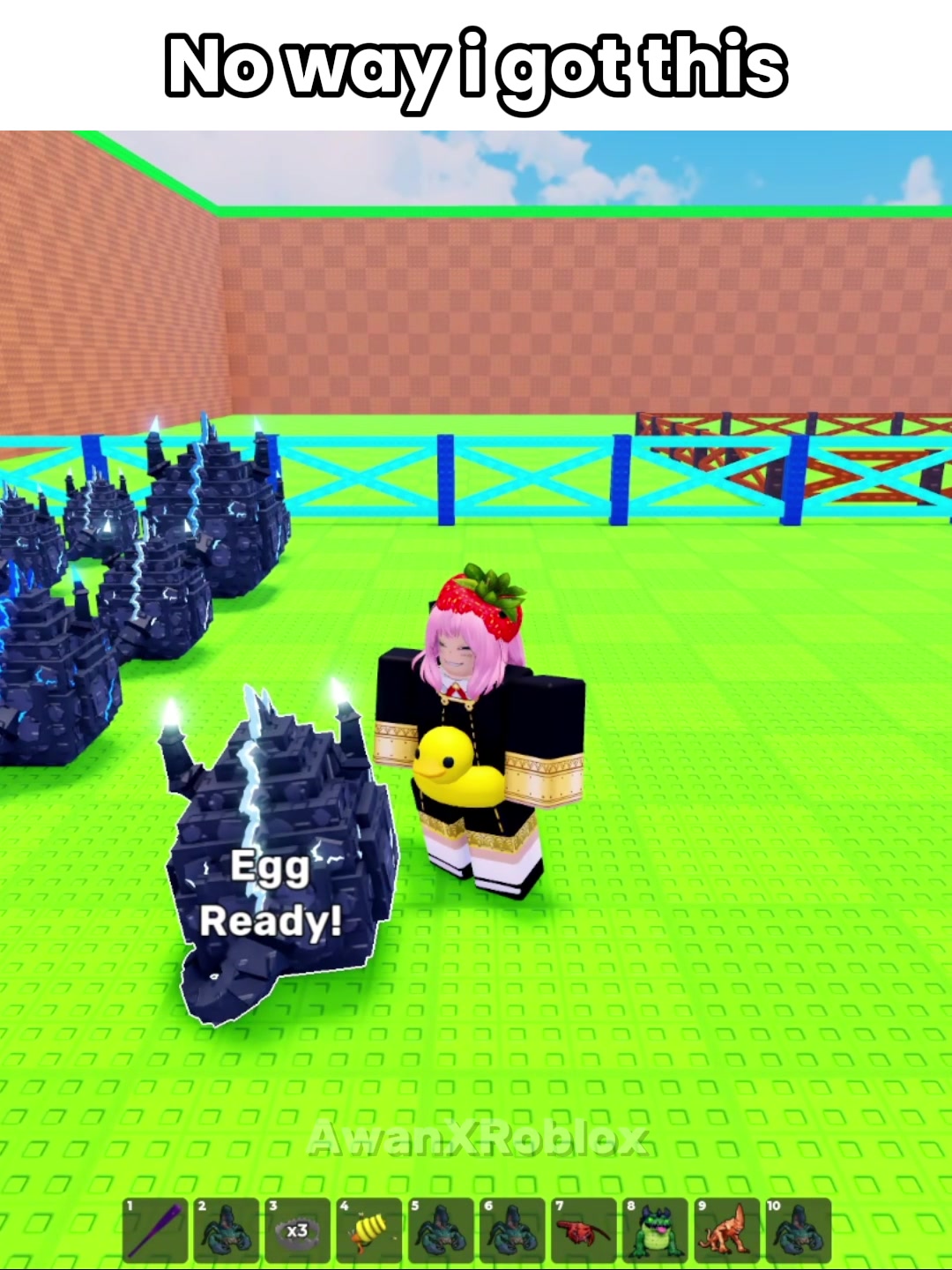 @AwanXRoblox