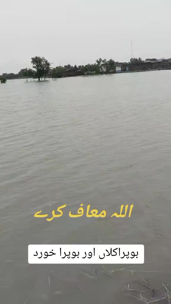@syed shoaib