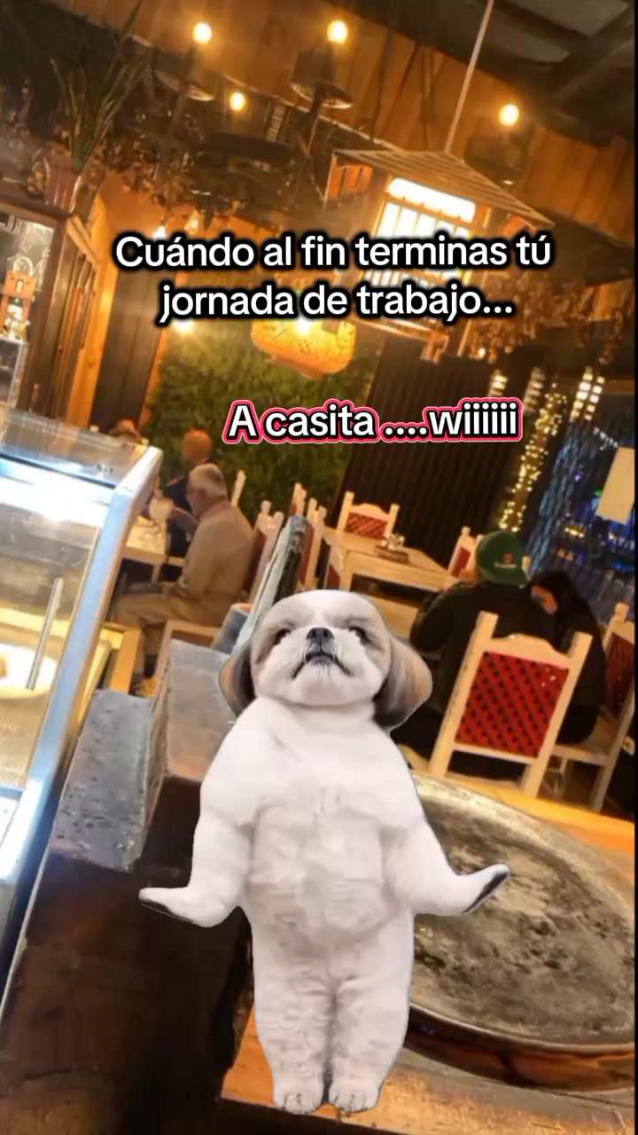 @Diana Alexandra 🧁💞