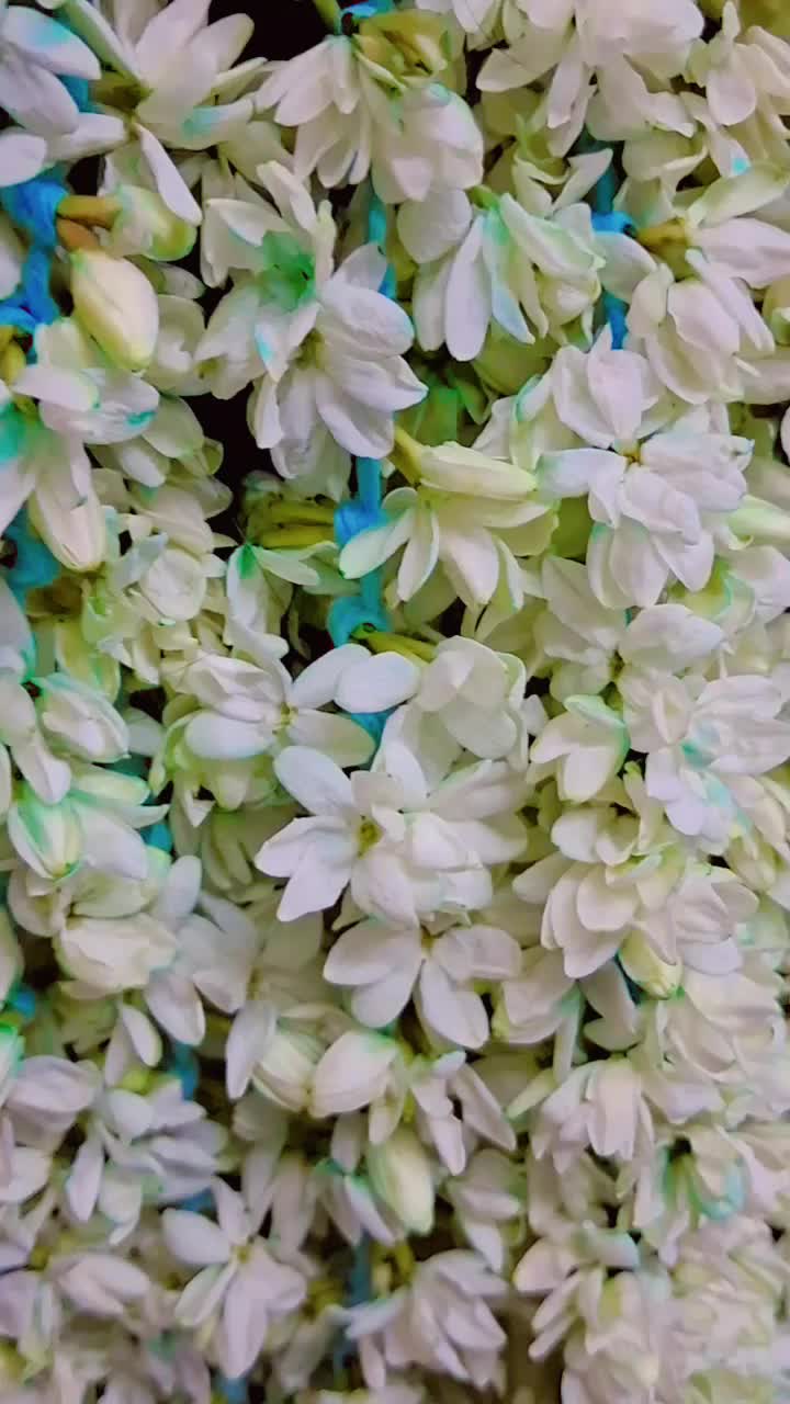 @Preenitha