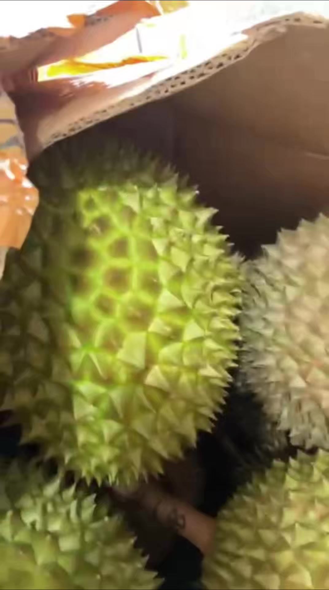 @Cicip Durian