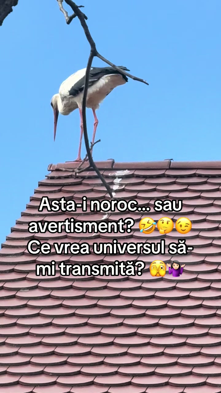 @𝐌𝐀𝐑𝐈𝐀 𝐖𝐈𝐄𝐃𝐄𝐌𝐀𝐍𝐍