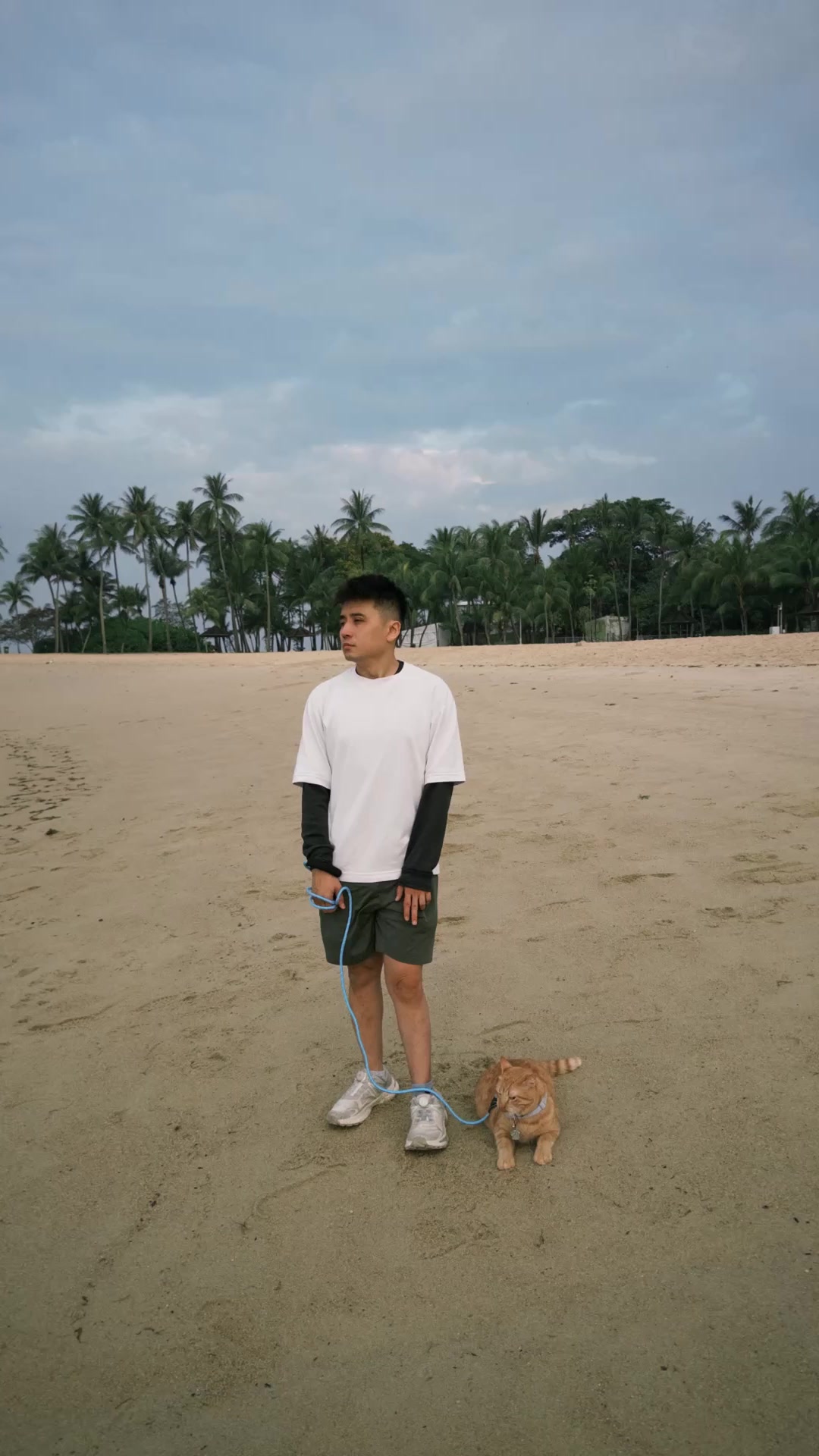 @Owenchoy
