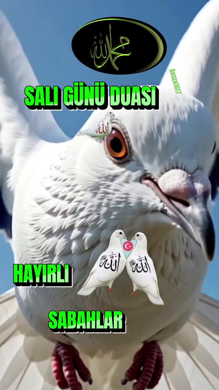 @NAKŞİ💚AYLESİ💜AHSEN🌹GÜL