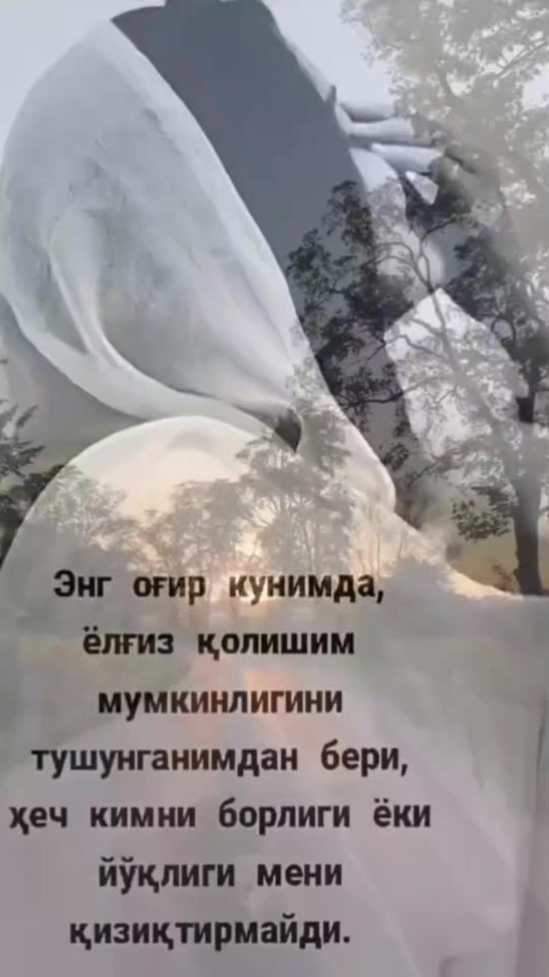 @BASIDA