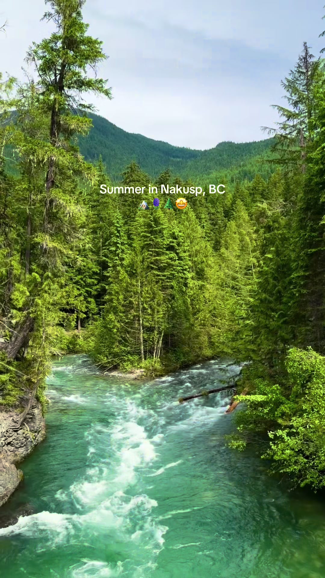 @Super, Natural BC