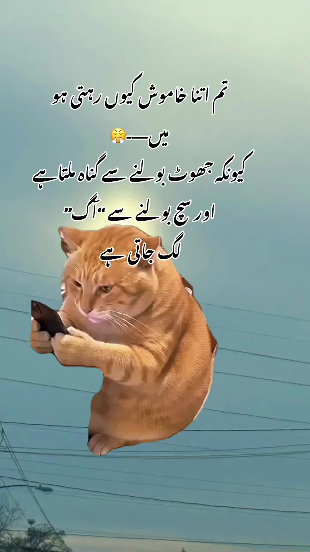 @Life in USA 🇺🇸