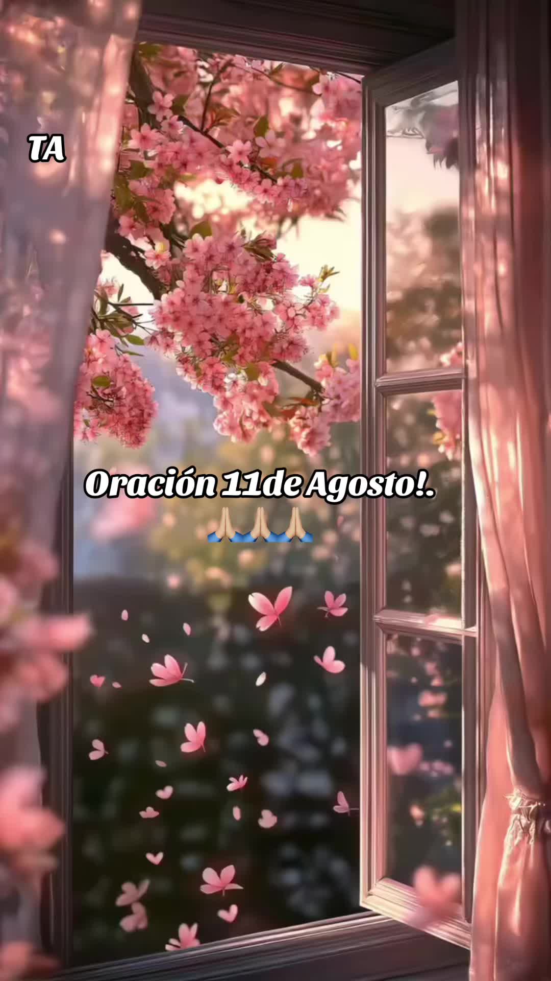 @Taimy