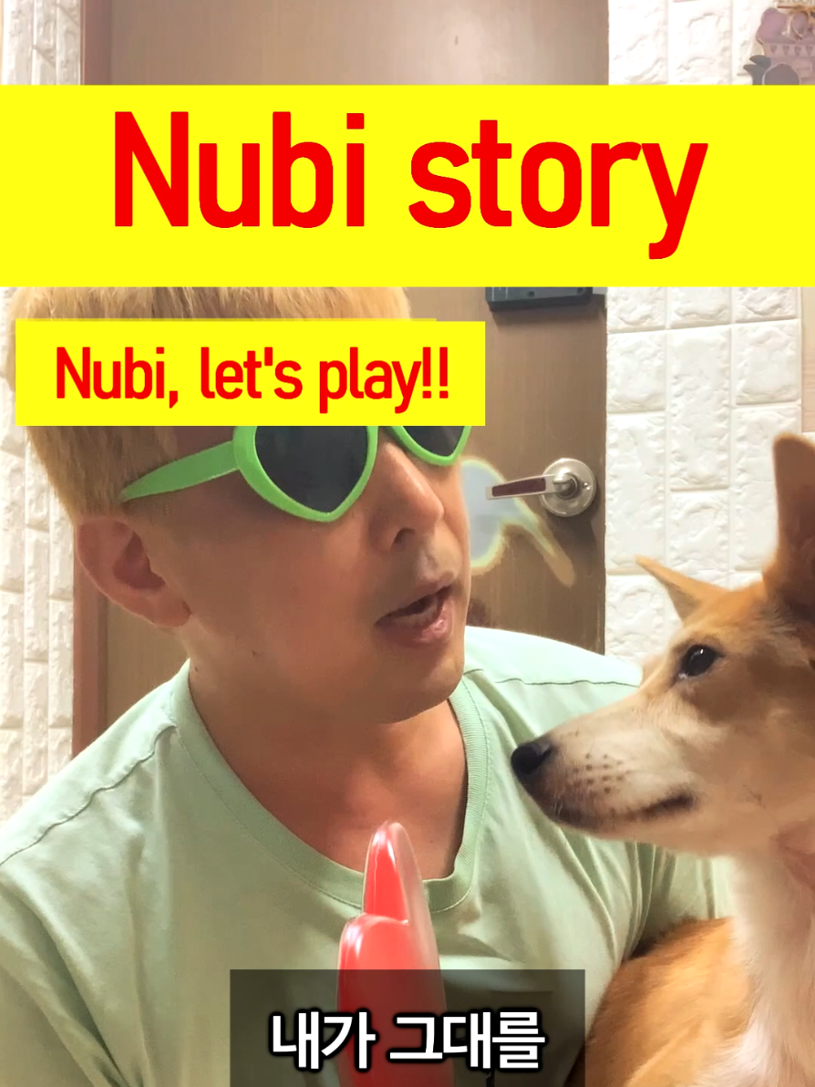 @누비★스토리 Nubi story