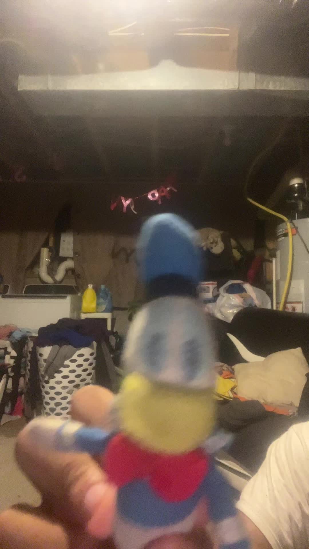 @Donald Duck