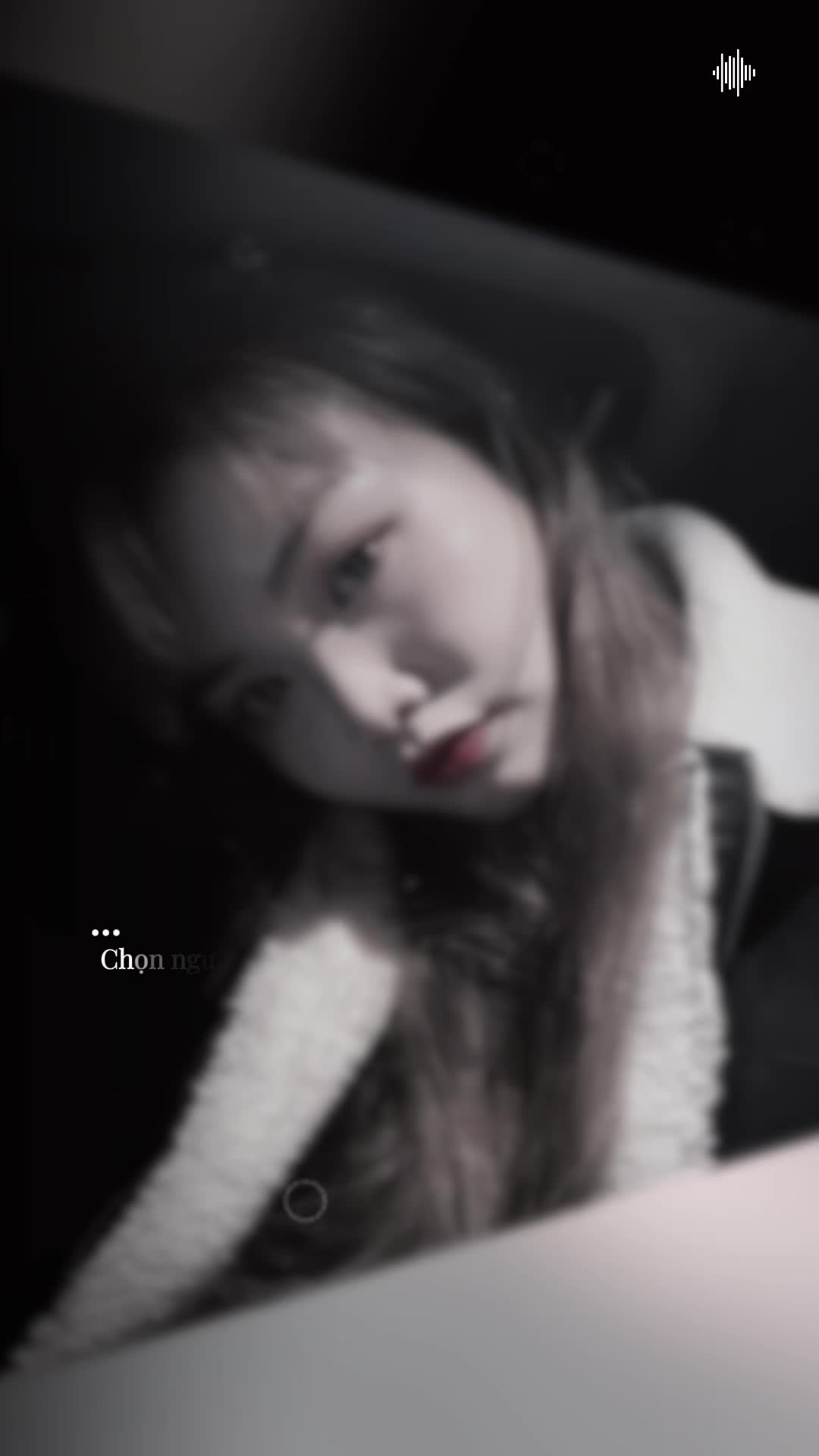 @gấu trúc