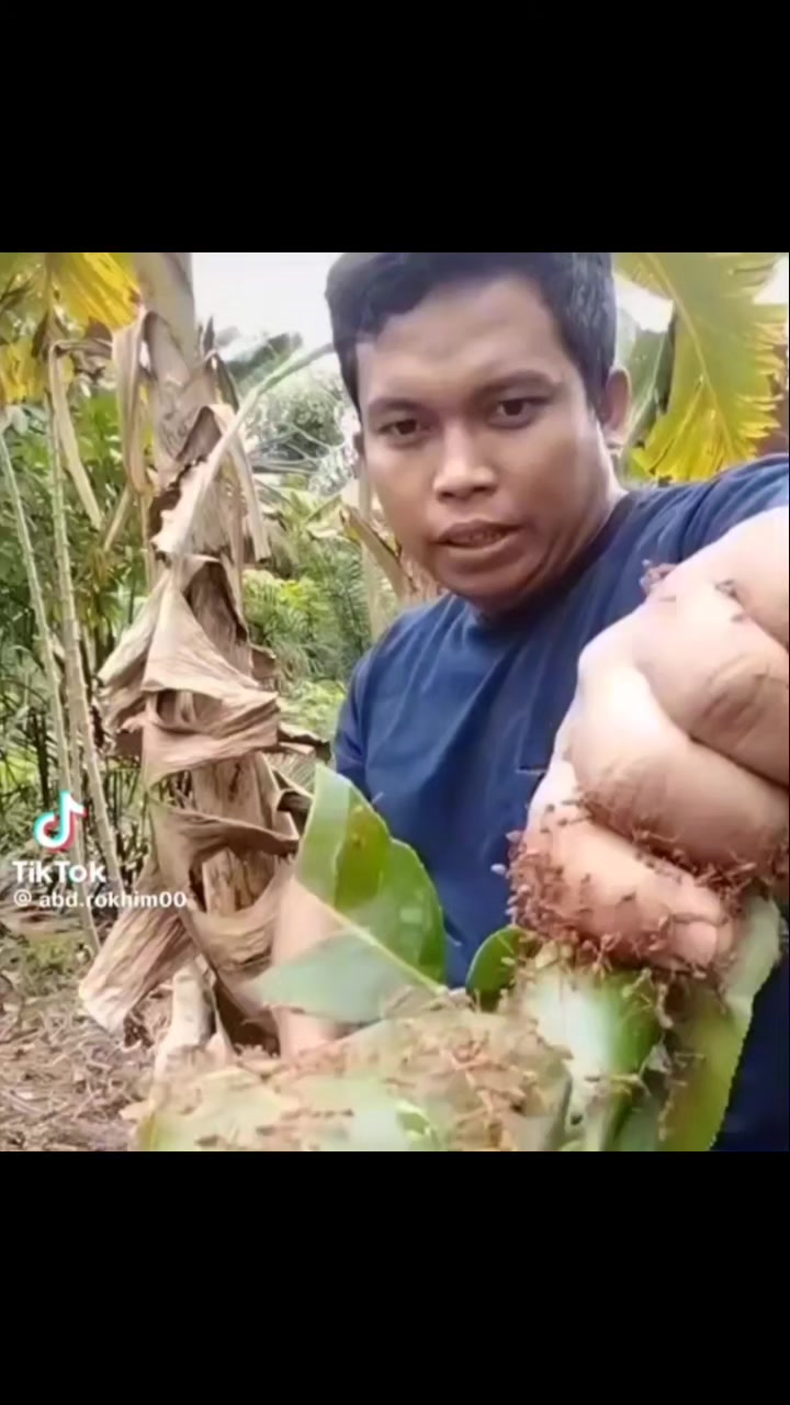 @mồm lèo cái j