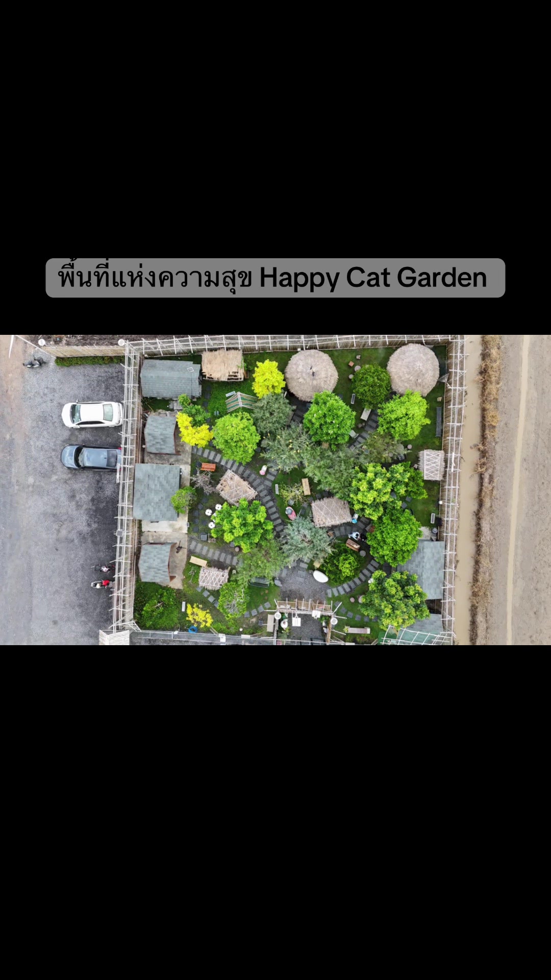@happycatgarden.thailand