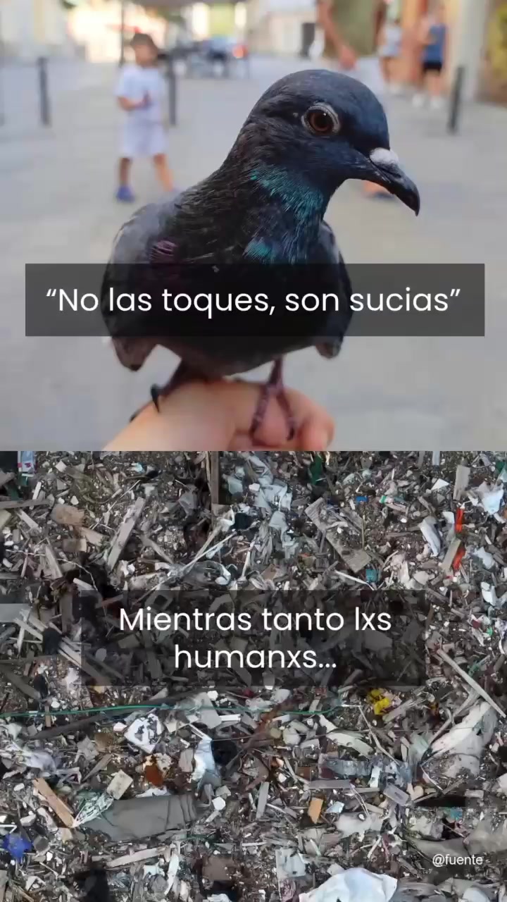 @varcan❤️