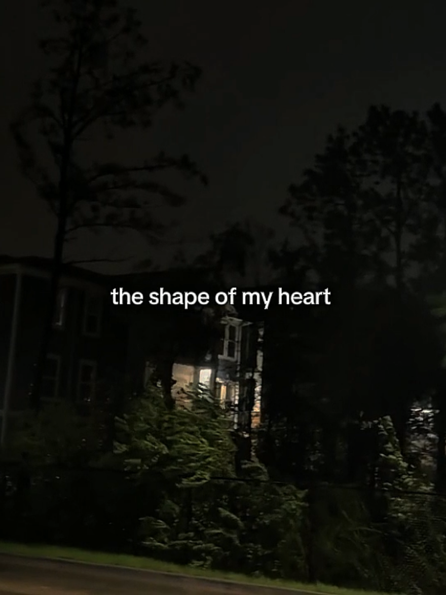 @𝟑𝟎𝟑 𝐑𝐢𝐳𝐤𝐲.