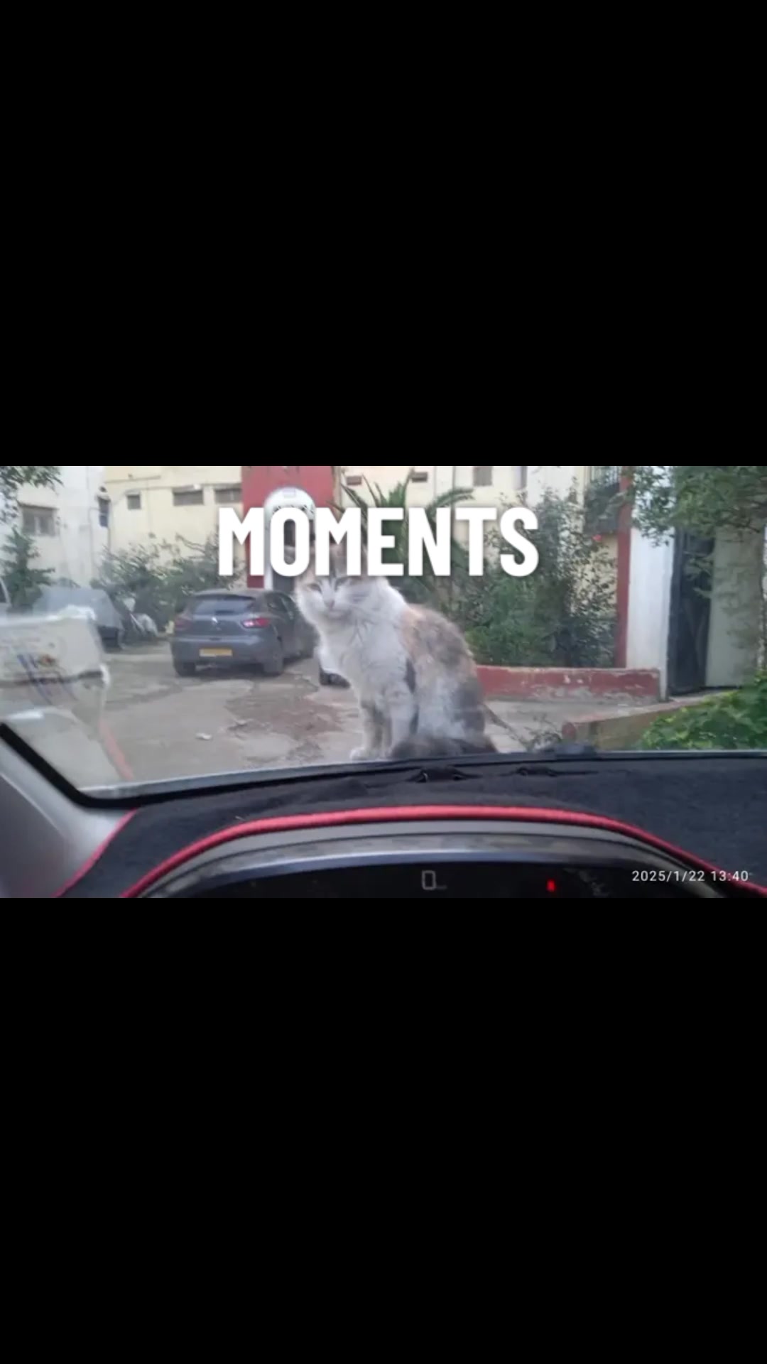 @WAHIIBA KOUBA